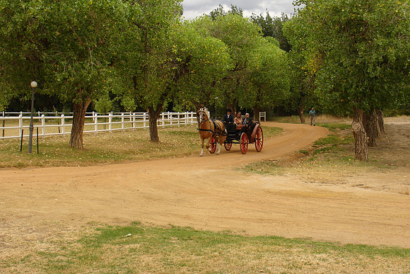 DSC01477.JPG