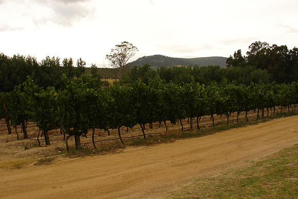 DSC01416.JPG