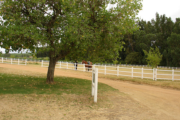 DSC01417.JPG