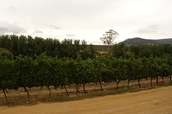 DSC01472.JPG