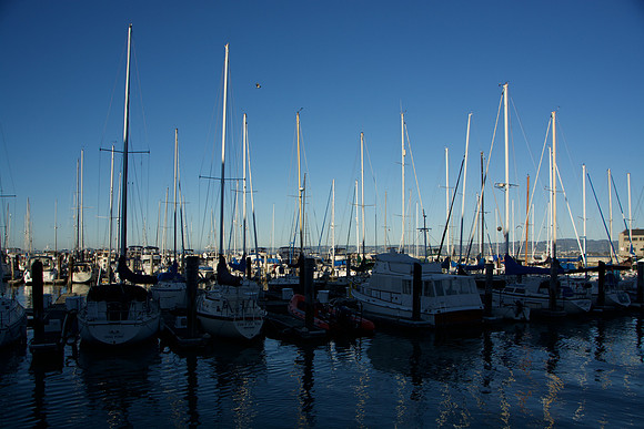 DSC_1664