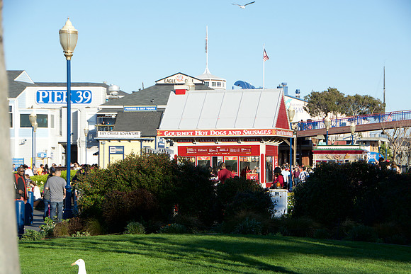 DSC_1641